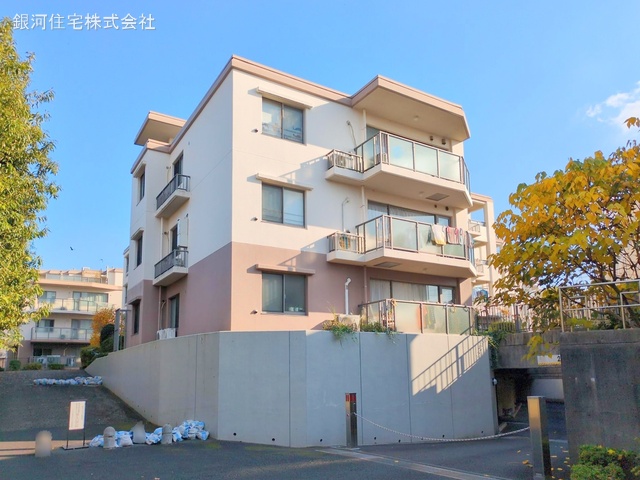 井野