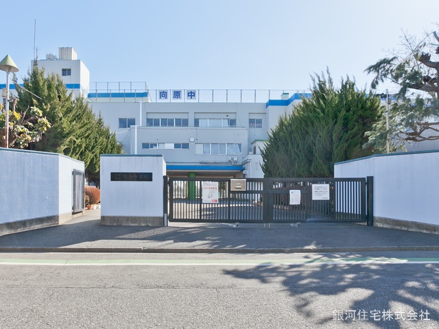 G00367363 埼玉県入間市久保稲荷２丁目 新築一戸建て 3670万円 土地面積165.13m² (約49.95坪) 建物面積95.57m² (約28.90坪) 間取り４ＬＤＫ 築年月2025年04月(築１年以内)【周辺環境】入間市立向原中学校