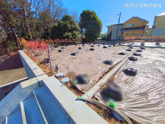 大庭
