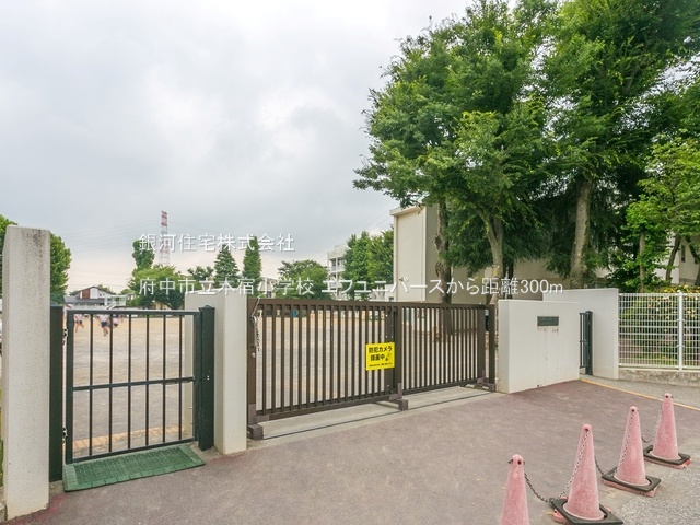 G00374970 東京都府中市東芝町 中古マンション 4999万円 専有面積88.80m² (約26.86坪) 間取り４ＬＤＫ 所在階2階 築年月2003年11月(築21年)【周辺環境】府中市立本宿小学校
