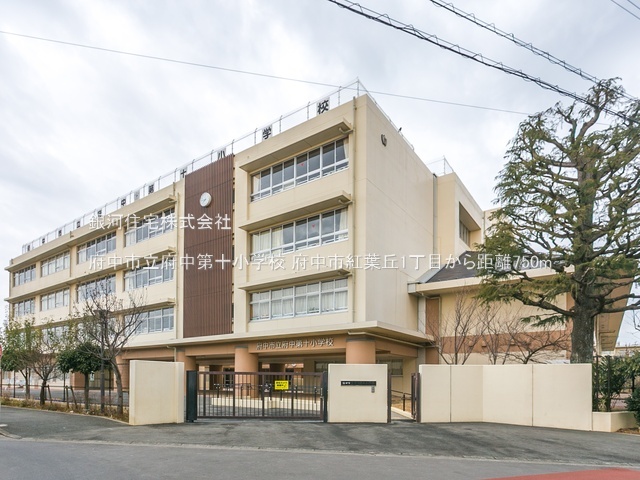G00377316 東京都府中市紅葉丘１丁目 新築一戸建て 4580万円 土地面積58.51m² (約17.69坪) 建物面積69.24m² (約20.94坪) 築年月2024年12月(築１年以内)【周辺環境】府中市立府中第十小学校