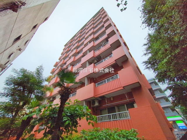 G00377319 東京都板橋区大山金井町 中古マンション 2698万円 専有面積42.72m² (約12.92坪) 間取り１ＬＤＫ 所在階11階 築年月1978年11月(築46年)【外観4】