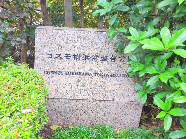 G00377873 神奈川県横浜市保土ヶ谷区常盤台 中古マンション 4280万円 専有面積88.20m² (約26.68坪) 間取り３ＬＤＫ 所在階4階 築年月1997年03月(築28年)【外観7】