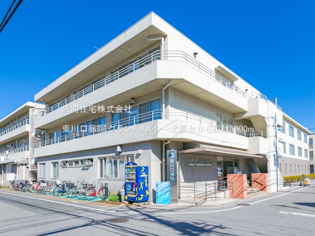 G00378021 埼玉県川口市北原台２丁目 中古マンション 2680万円 専有面積65.72m² (約19.88坪) 間取り１ＬＤＫ 所在階5階 築年月1994年08月(築30年)【周辺環境】東川口病院