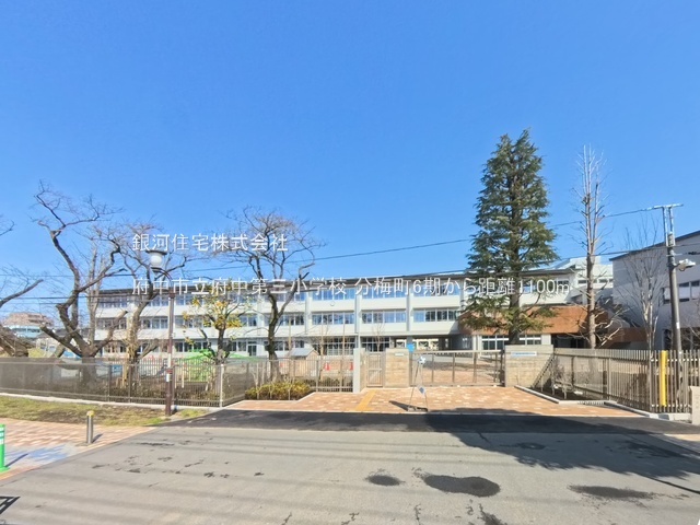 G00378306 東京都府中市分梅町２丁目 新築一戸建て 6499万円 土地面積113.28m² (約34.26坪) 建物面積90.26m² (約27.30坪) 間取り３ＬＤＫ 築年月2025年11月【周辺環境】府中市立府中第三小学校