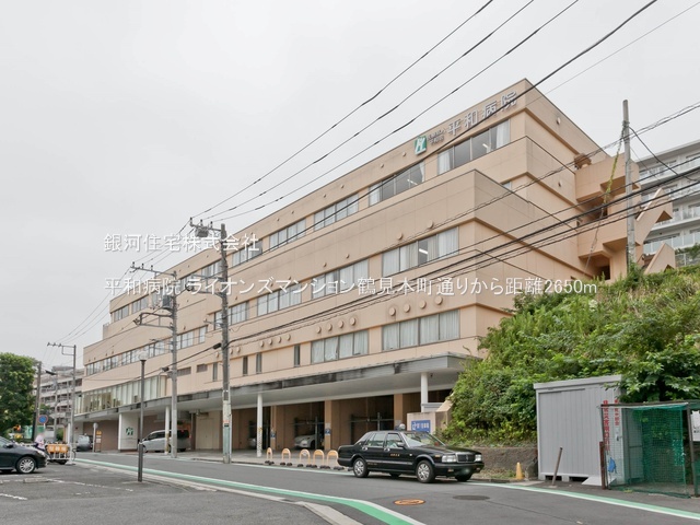 G00379323 神奈川県横浜市鶴見区本町通４丁目 中古マンション 3980万円 専有面積65.10m² (約19.69坪) 間取り３ＬＤＫ 所在階9階 築年月1991年01月(築34年)【周辺環境】平和病院