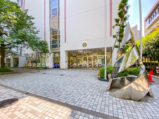 G00379569 東京都中央区佃１丁目 中古マンション 2億3280万円 専有面積113.38m² (約34.29坪) 間取り３ＬＤＫ 所在階25階 築年月1991年08月(築34年)【周辺環境】中央区立佃島小学校