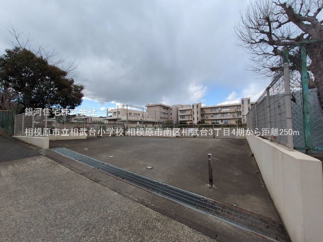 G00379839 神奈川県相模原市南区相武台３丁目 新築一戸建て 3880万円 土地面積71.79m² (約21.71坪) 建物面積113.64m² (約34.37坪) 間取り４ＬＤＫ 築年月2026年01月【周辺環境】相模原市立相武台小学校