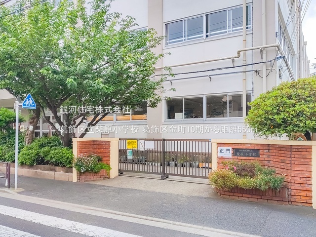 G00379958 東京都葛飾区金町２丁目 土地 5050万円 土地面積67.61m² (約20.45坪)【周辺環境】葛飾区立柴原小学校