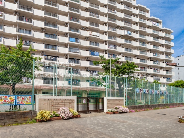 G00384084 東京都江東区大島８丁目 中古マンション 4680万円 専有面積51.55m² (約15.59坪) 間取り１ＳＬＤＫ 所在階6階 築年月1982年09月(築43年)【周辺環境】第三大島幼稚園