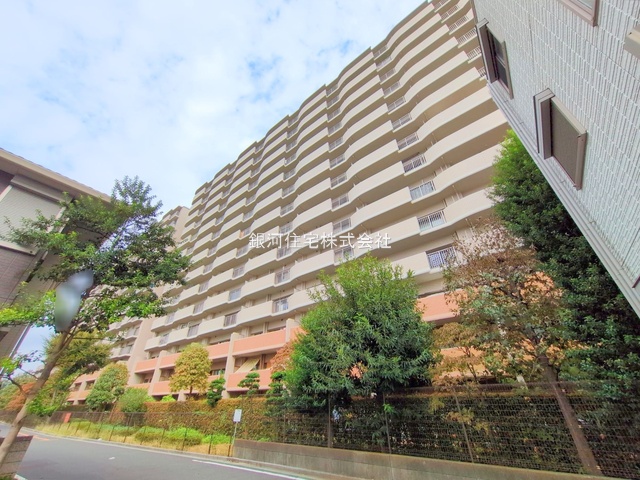 G00384202 埼玉県志木市幸町３丁目 中古マンション 5399万円 専有面積87.14m² (約26.35坪) 間取り３ＬＤＫ 所在階8階 築年月2001年05月(築24年)【外観2】