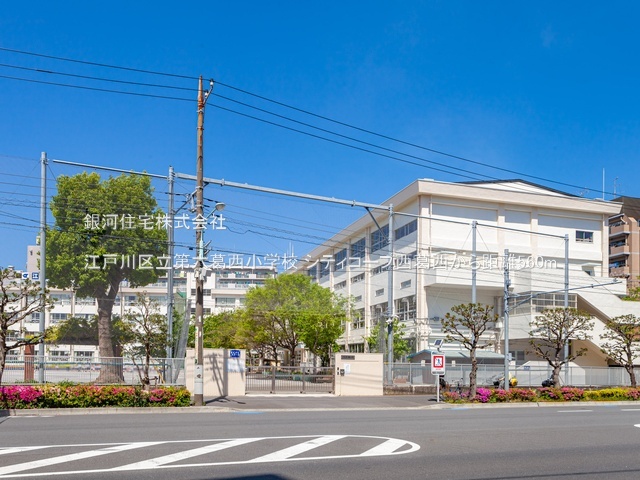 G00384245 東京都江戸川区西葛西５丁目 中古マンション 4350万円 専有面積70.38m² (約21.28坪) 間取り３ＬＤＫ 所在階5階 築年月1983年05月(築42年)【周辺環境】江戸川区立第六葛西小学校