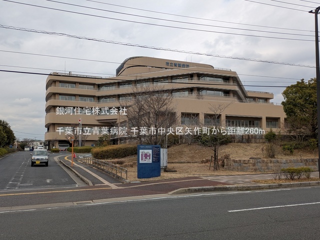 G00386639 千葉県千葉市中央区矢作町 新築一戸建て 3690万円 土地面積127.61m² (約38.60坪) 建物面積100.95m² (約30.53坪) 間取り４ＬＤＫ 築年月2026年03月【周辺環境】千葉市立青葉病院