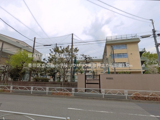 G00393729 東京都墨田区向島２丁目 中古マンション 5780万円 専有面積30.14m² (約9.11坪) 間取り１ＬＤＫ 所在階5階 築年月2018年07月(築7年)【周辺環境】墨田区立小梅小学校