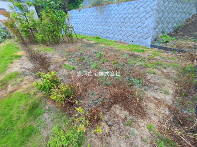 二階堂